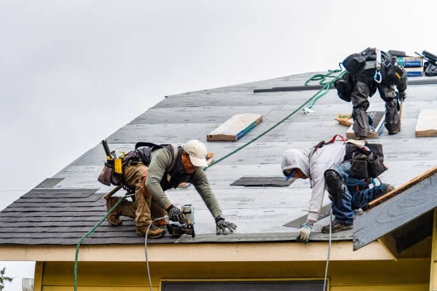 Professional Flat Roof Repair technician working in Wolcott, IN